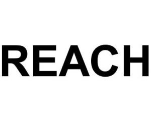 REACH_REACH181
