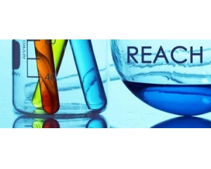 REACHԷ