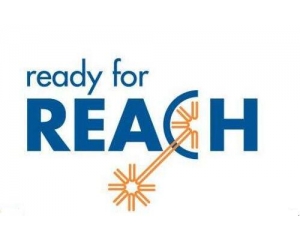 reach֤ƷЩ