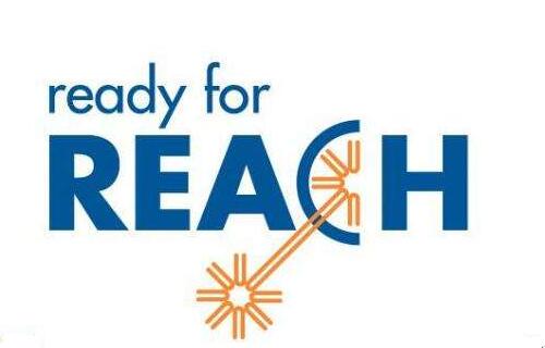 reach֤