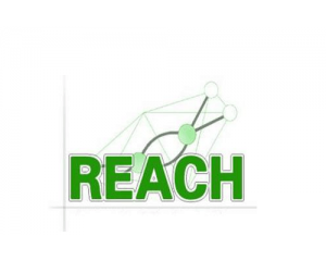 2018REACH191,SVHC10Щ