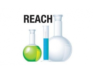 reachⱨʲôREACH֤ʲôҪ