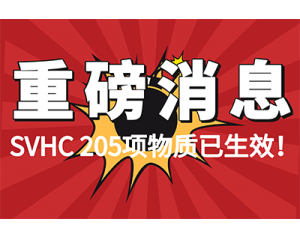 20201164SVHCЧ