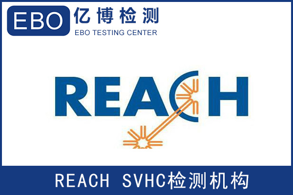 ͿREACH