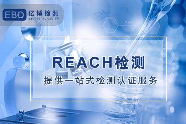 REACH֤